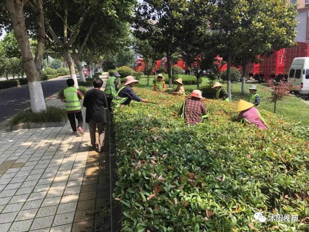 宿迁沭阳：这份“绿色福利”你值得拥有~