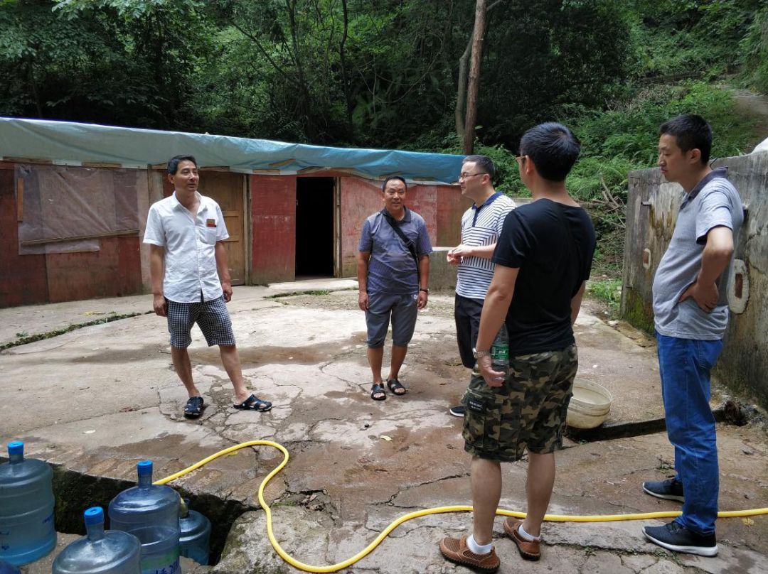 黔灵山公园的泉水水质,黔灵山的泉水