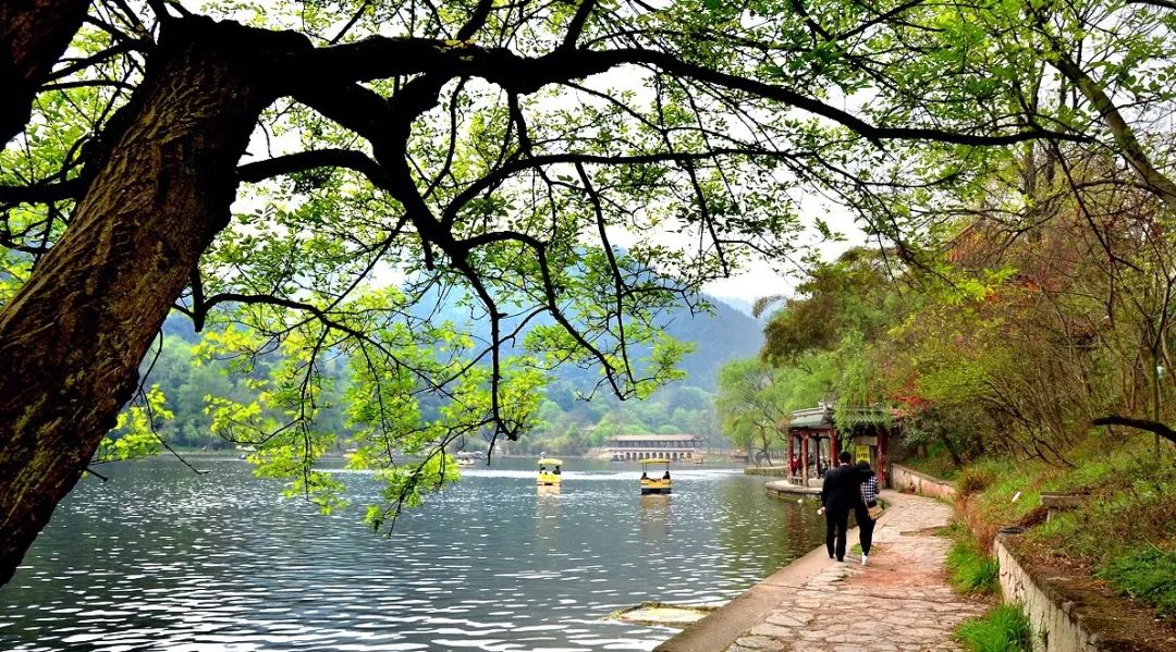 黔灵山公园的泉水水质,黔灵山的泉水