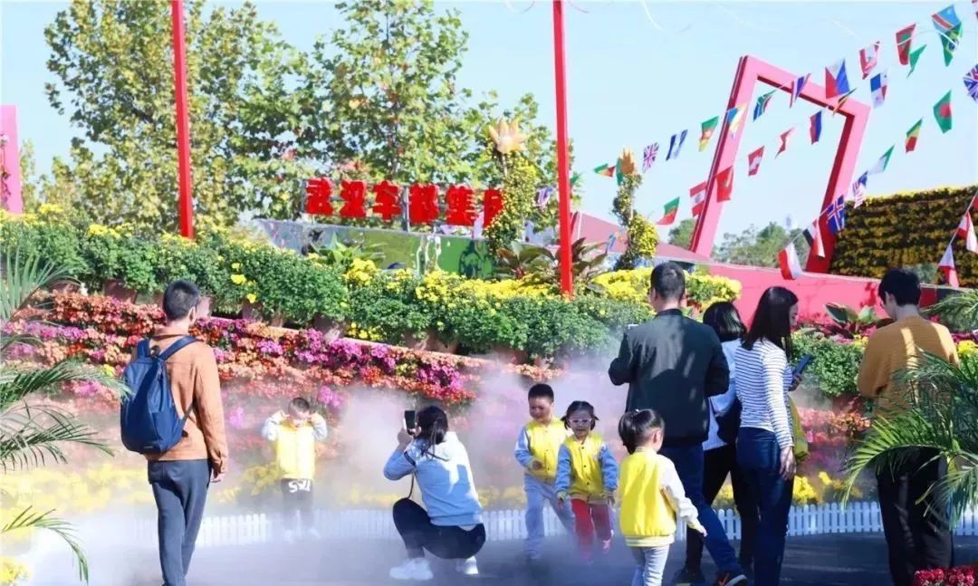 体育中心看展菊,运动公园菊展