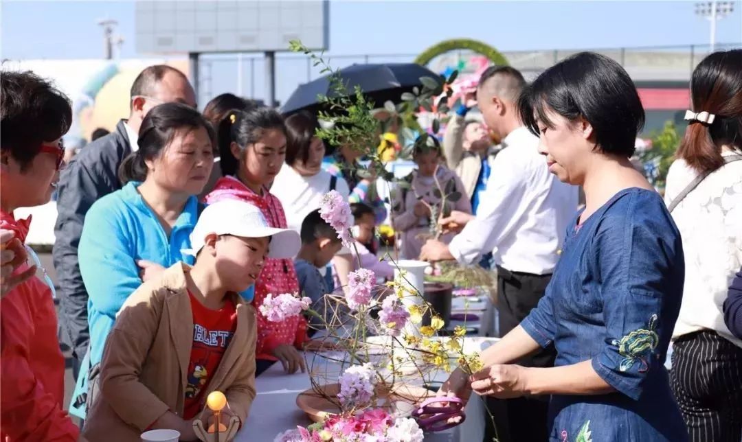 体育中心看展菊,运动公园菊展