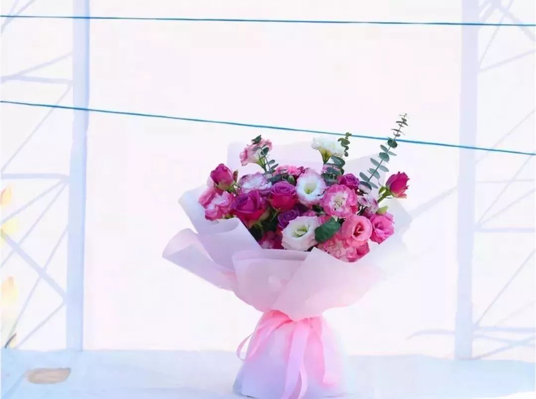 体育中心看展菊,运动公园菊展