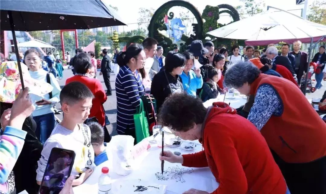 体育中心看展菊,运动公园菊展