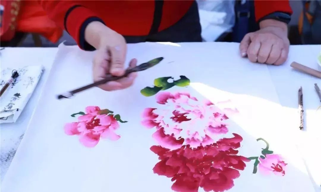 体育中心看展菊,运动公园菊展