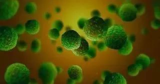 世界银屑病日特别策划,世界银屑病日宣传片