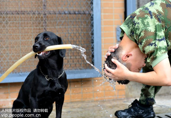 去屑洗发水越用头屑越多怎么办,去屑洗发水越用头屑越多为什么