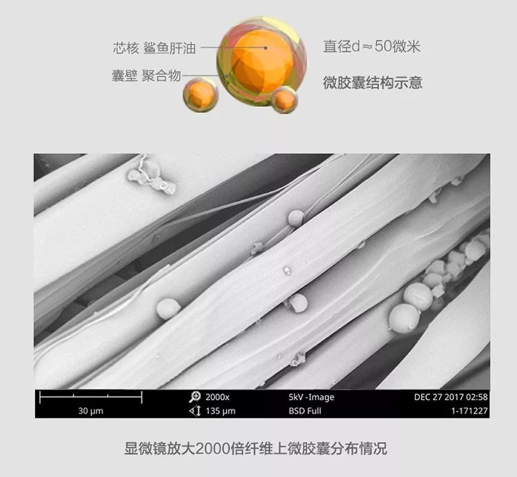 有北极熊绒毛的衣服吗,有了羽绒服不会冷了