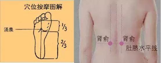 腰酸背痛精力不足是什么原因,腰酸背痛肾气不足