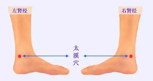 腰酸背痛精力不足是什么原因,腰酸背痛肾气不足