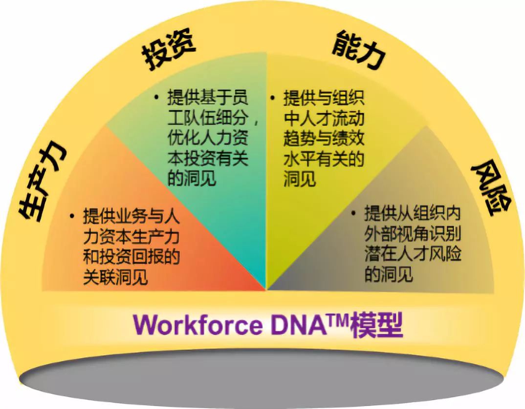 银行人力资源促进转型发展,银行人力资源管理优秀案例