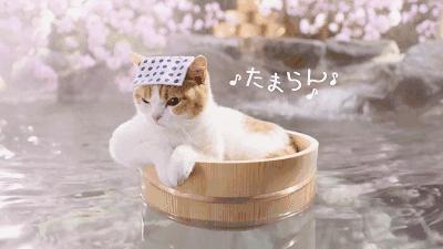 泡汤温泉广东,日本泡汤温泉