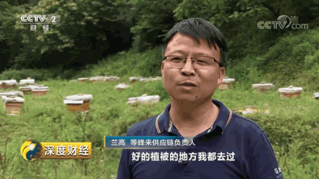 源自长白山天然保护区椴树雪蜜,采自长白山原始森林的蜂蜜