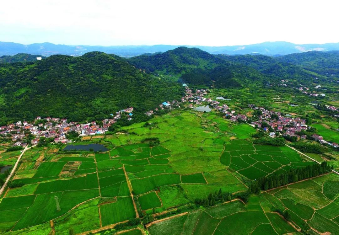 人民日报记者江南,江苏人民日报江南看烟雨