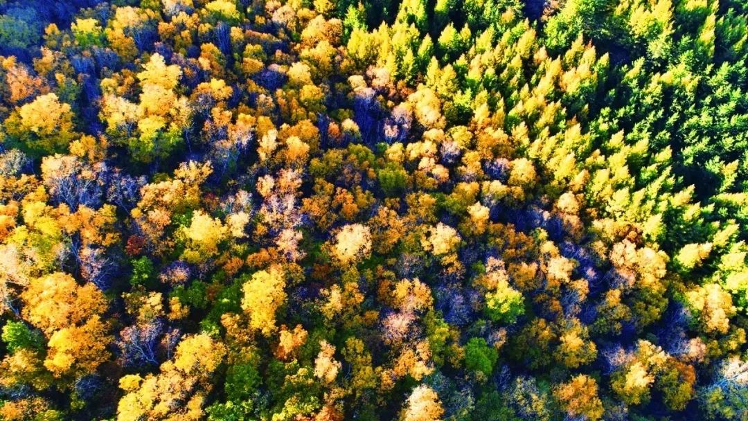 大青山惊艳风景,赤峰克旗大青山秋意浓