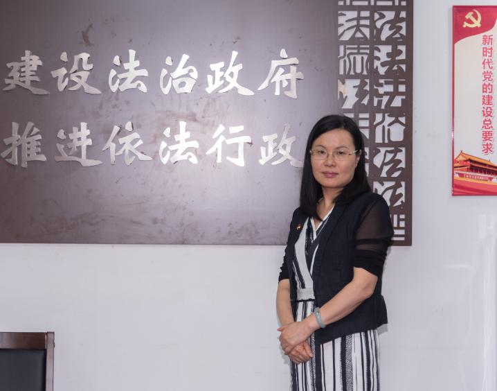 法治政府第三方评估报告,法治政府评审