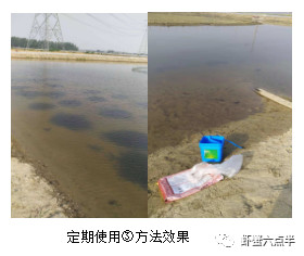 今后的河蟹养殖什么最有市场,2021河蟹行情趋势