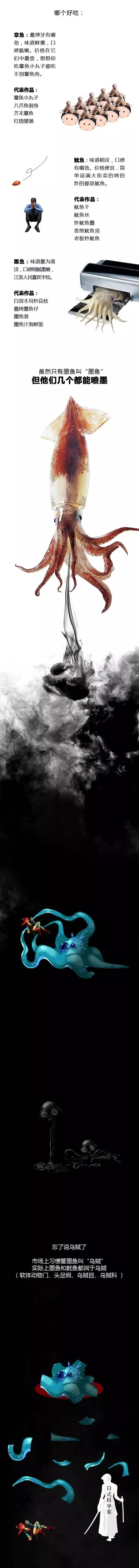 怎么区分乌贼鱿鱼章鱼 (分辨鱿鱼章鱼乌贼)