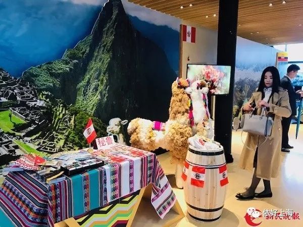 进博会的产品在哪里可以买到,进博会买什么好货