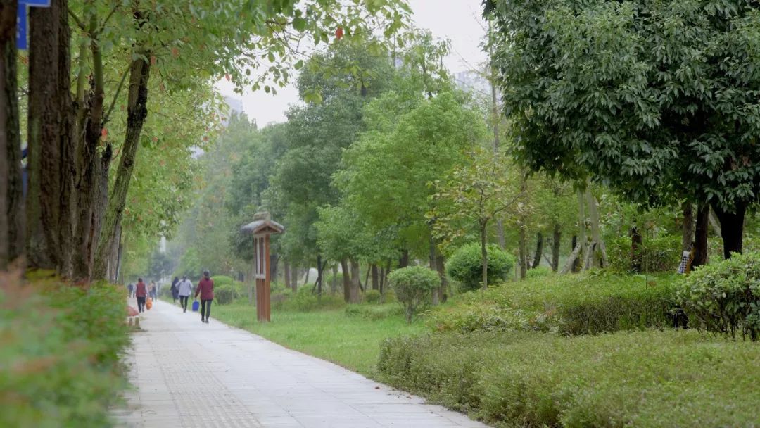 头条|城市颜值增不停!市城管局精细化管理9大亮点出奇效!