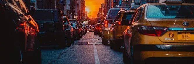 挣扎中的都市中产：我在这里活着，也在这儿死去