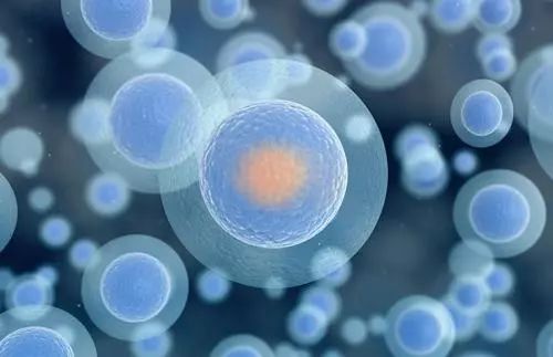 快来看看，和你息息相关的防癌知识！