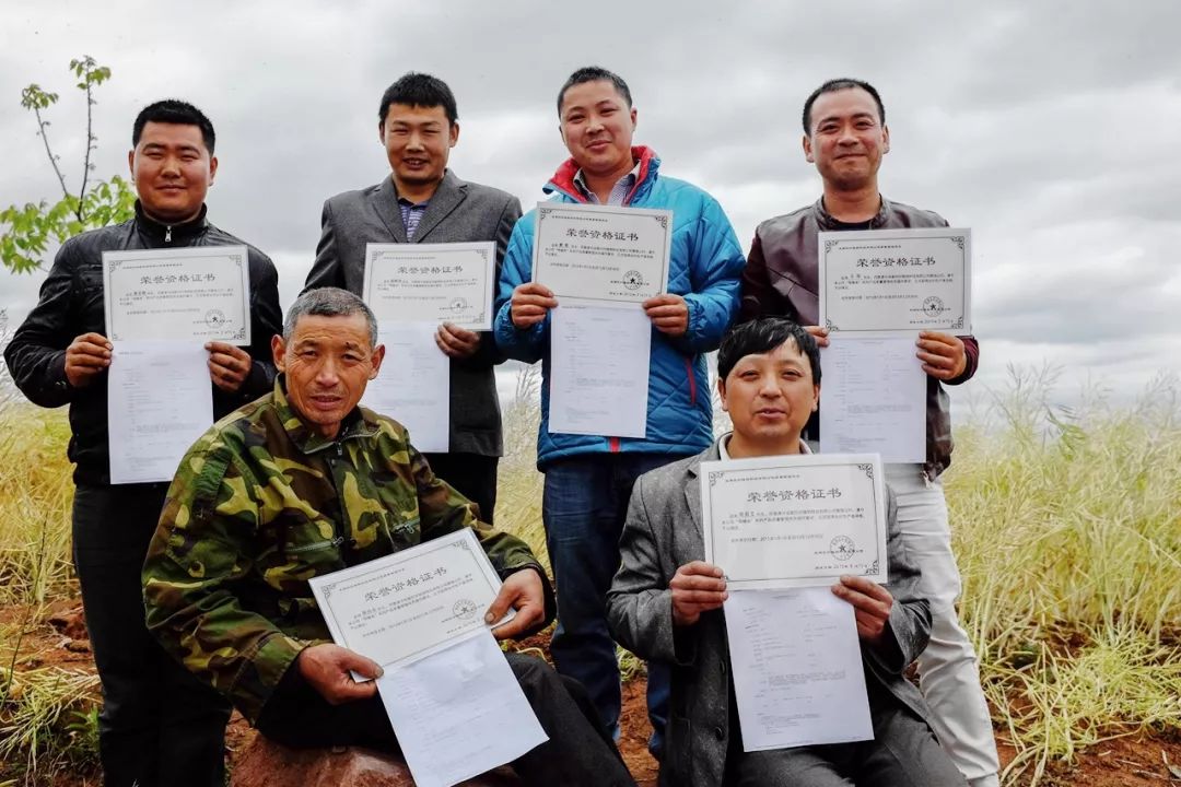源自长白山天然保护区椴树雪蜜,采自长白山原始森林的蜂蜜