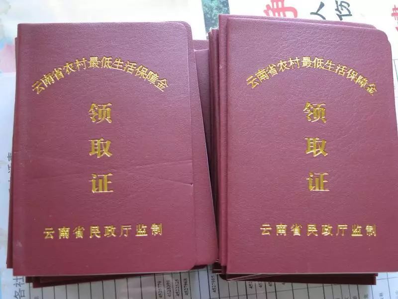 关于申请低保问题打哪个电话问,1019帮您办