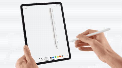 年前最后一笔大钱就花在它们身上了