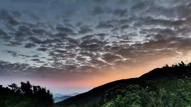 徕卡大光圈镜头,松下lx10对比徕卡相机