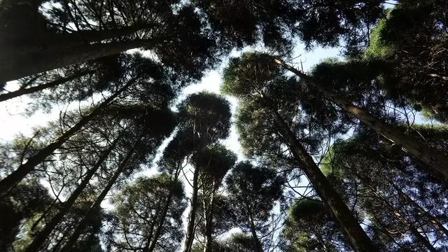 徕卡大光圈镜头,松下lx10对比徕卡相机