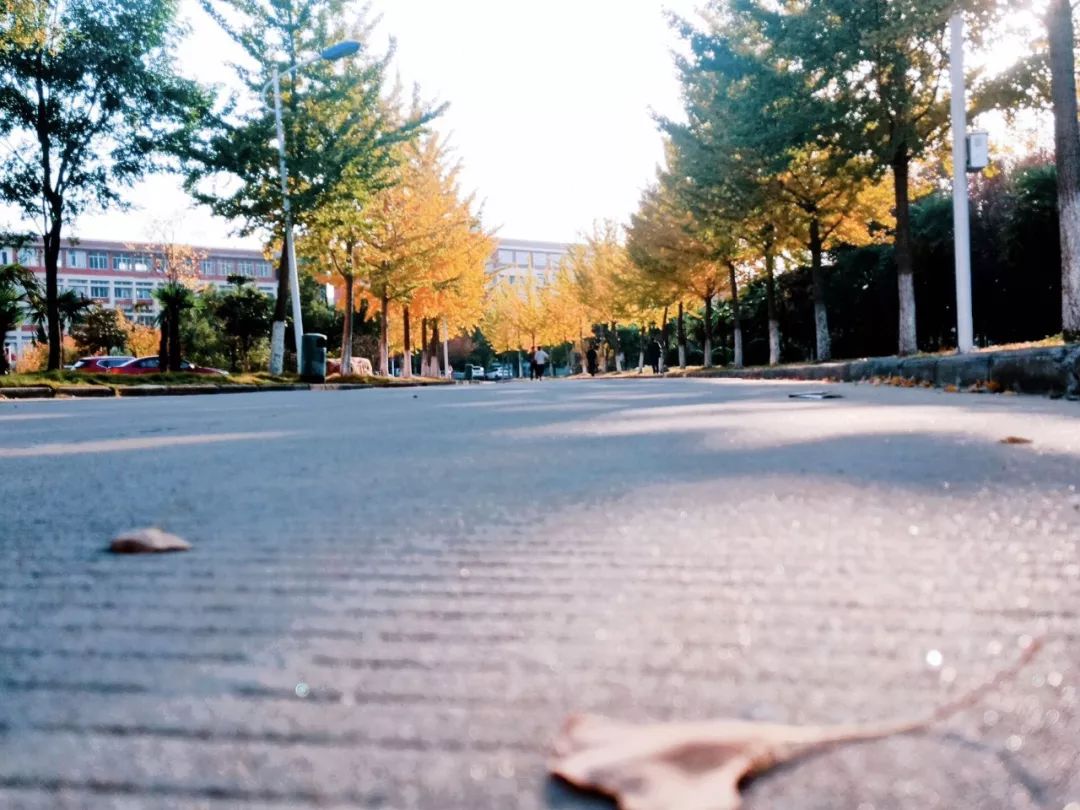 淮南师范学院教学评价,淮南师范学院学科评估