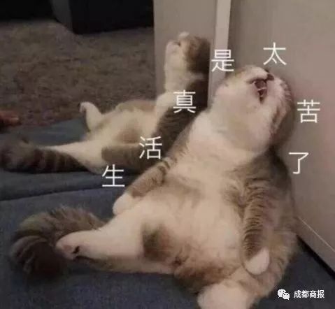 男子两年吃6万增高药，1厘米没长！哭诉：我连辣椒香菜都戒了…