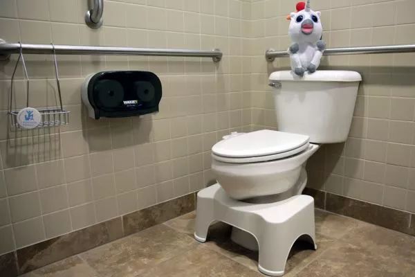 中国式蹲坑席卷温哥华！我们蹲个厕所，怎么就被蹲成了上亿的生意？