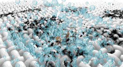 加拿大鹅为什么要和波司登比较 (加拿大鹅和波司登哪个抗寒)