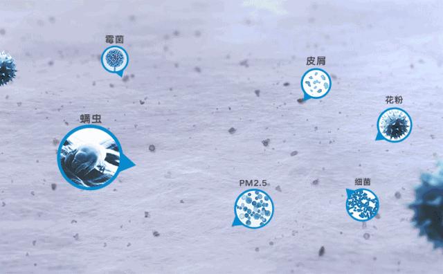 印度药神鼻炎喷雾剂,鼻炎儿童喷雾推荐