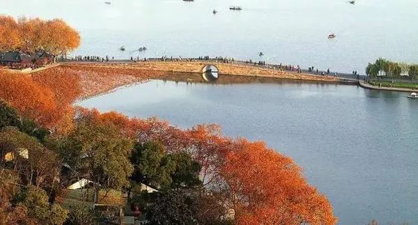 射雕英雄传里的牛家村在哪,射雕英雄传里的牛家村是现在的哪