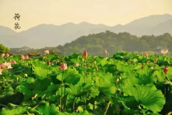 射雕英雄传里的牛家村在哪,射雕英雄传里的牛家村是现在的哪