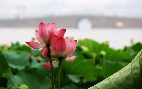 射雕英雄传里的牛家村在哪,射雕英雄传里的牛家村是现在的哪