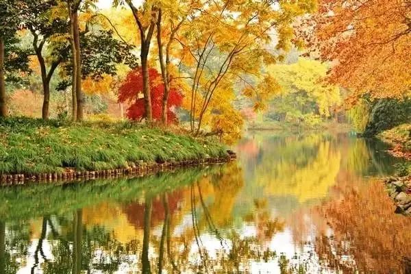 射雕英雄传里的牛家村在哪,射雕英雄传里的牛家村是现在的哪