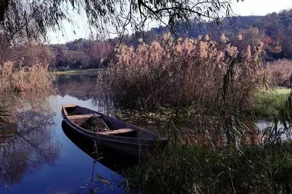 射雕英雄传里的牛家村在哪,射雕英雄传里的牛家村是现在的哪