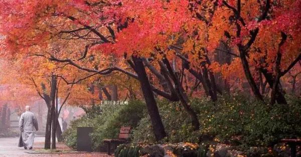 射雕英雄传里的牛家村在哪,射雕英雄传里的牛家村是现在的哪