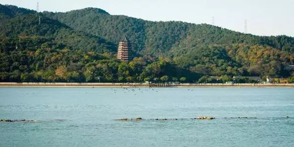 射雕英雄传里的牛家村在哪,射雕英雄传里的牛家村是现在的哪