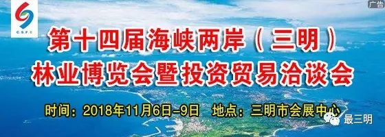 警方查获假伟哥,警方查获170万粒假伟哥