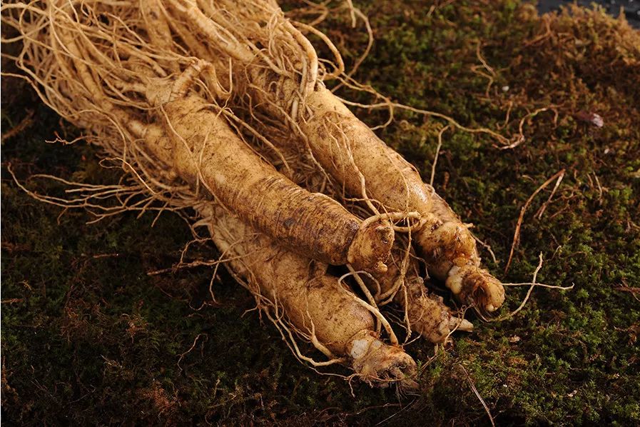 长白山人参干货安心购,4.99元吉林长白山鲜人参