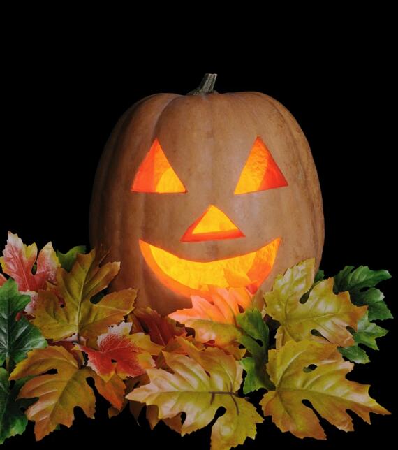 萌瓜万圣趴!餐桌请南瓜当主角,快来安排一下