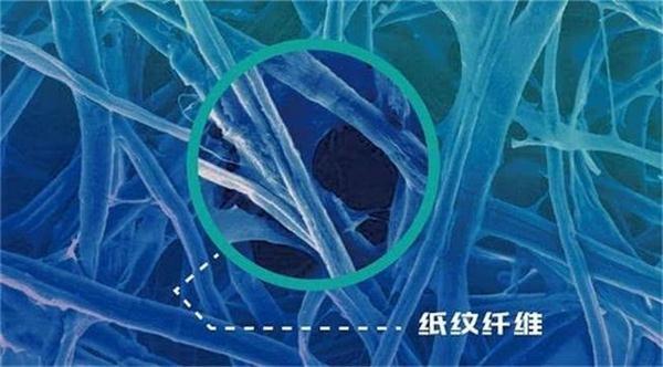 纸防伪芯片,纸芯片能防伪吗