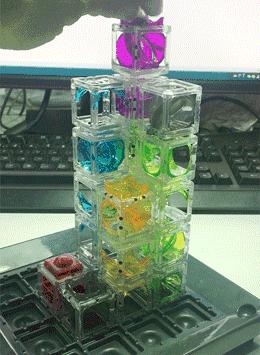 开团｜这个4年来只卖玩具的公众号，今天拿3000套出来秒杀，还有礼包抽奖