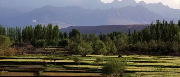 和田到底有多好？这篇文章告诉你