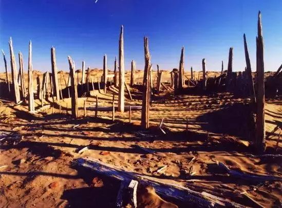 和田到底有多好？这篇文章告诉你