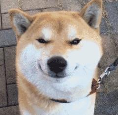 在南宁也可以“海淘”了,美妆奶粉等6.6折,即买即提